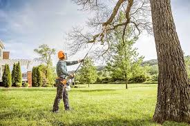 Seasonal Cleanup (Spring/Fall) in Navasota, TX