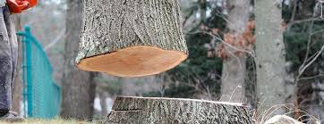 Navasota, TX Tree Services Pros